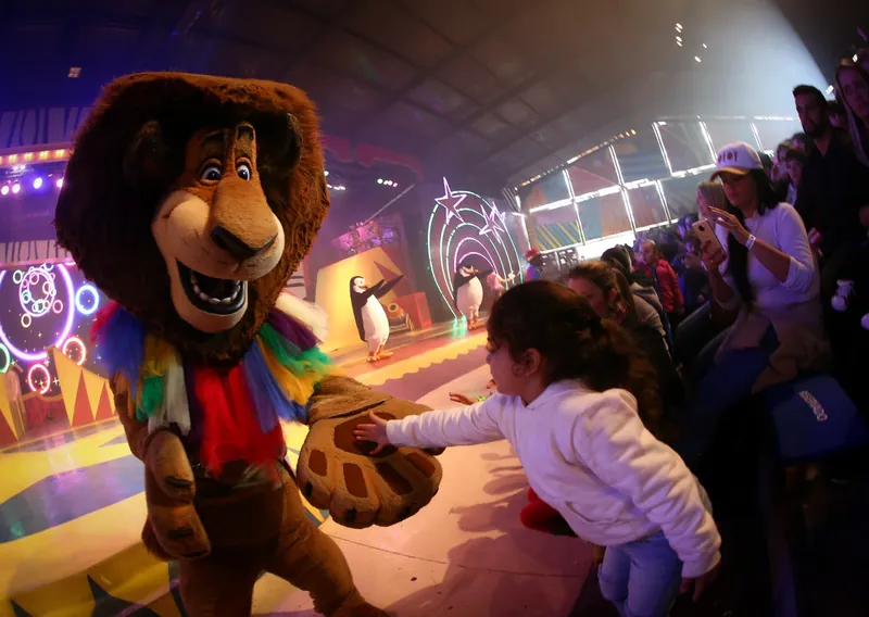 Madagascar Circus Show