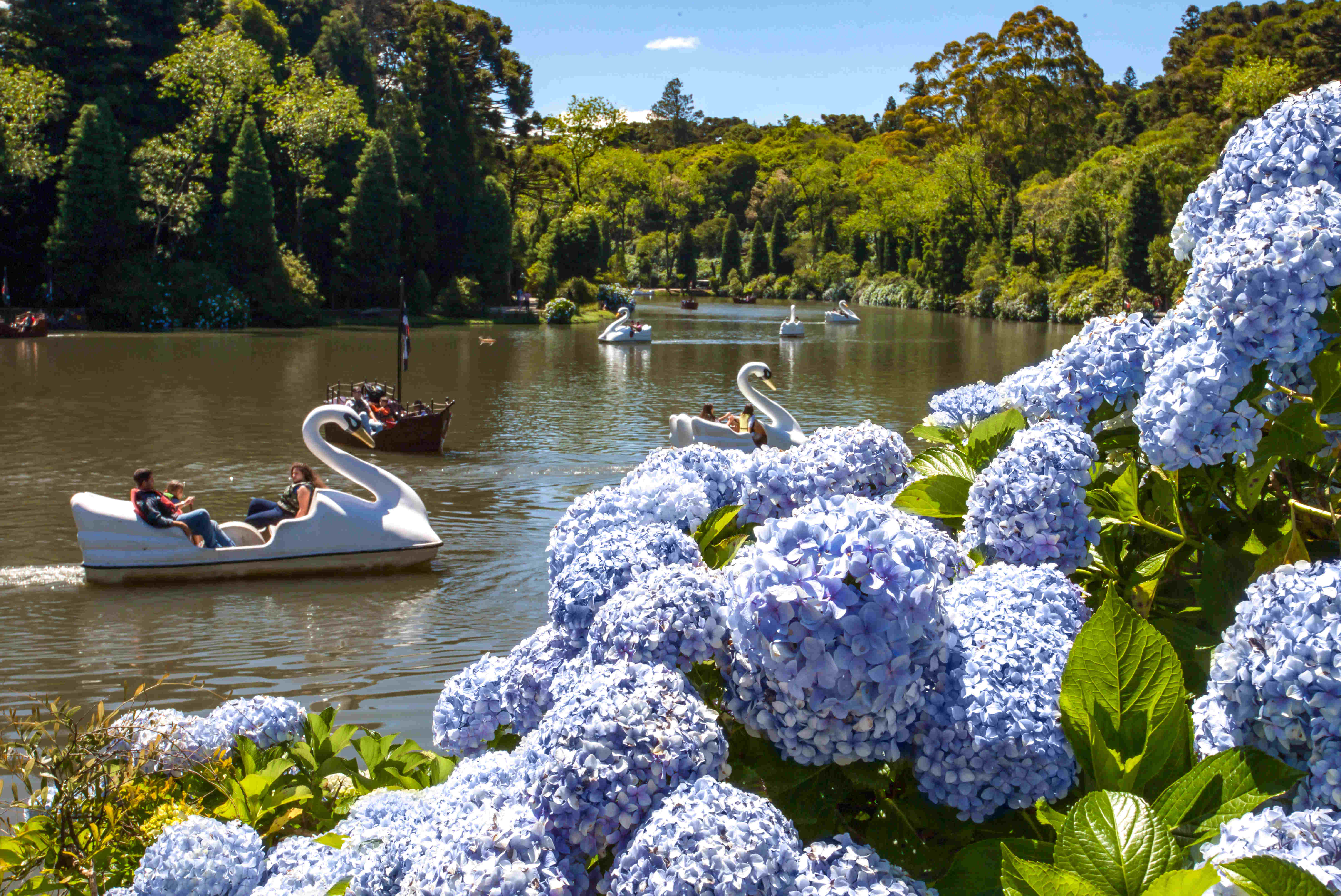 Lago Negro Gramado - Natureza e Pedalinho